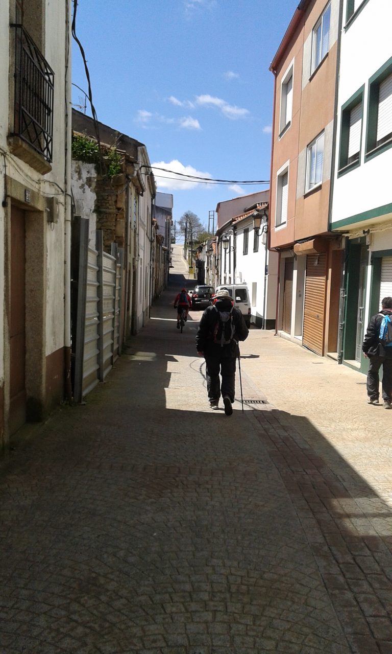 camino de santiago