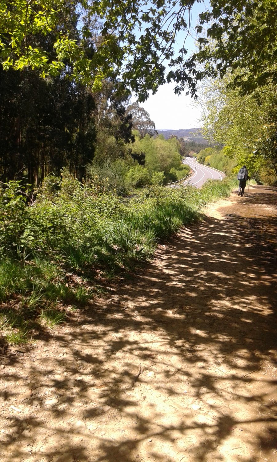 CAMINO DE SANTIAGO