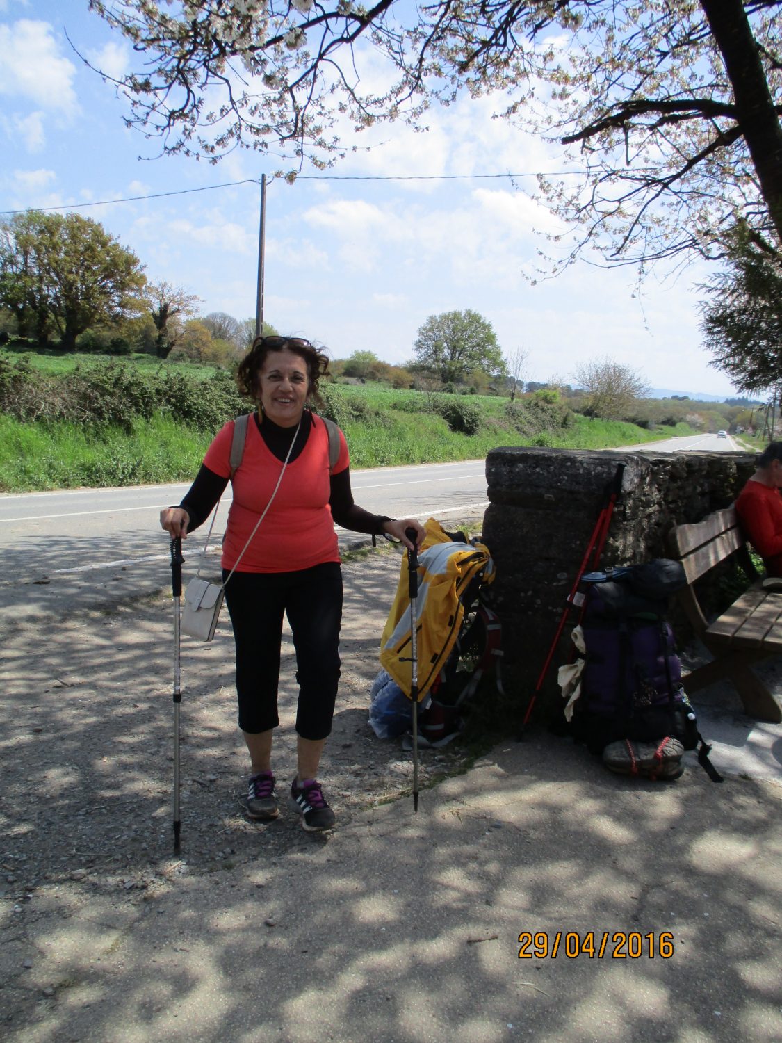 camino de santiago