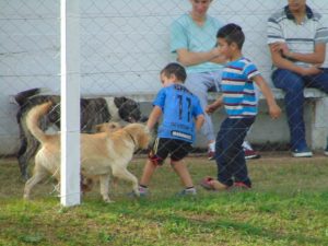 futbol