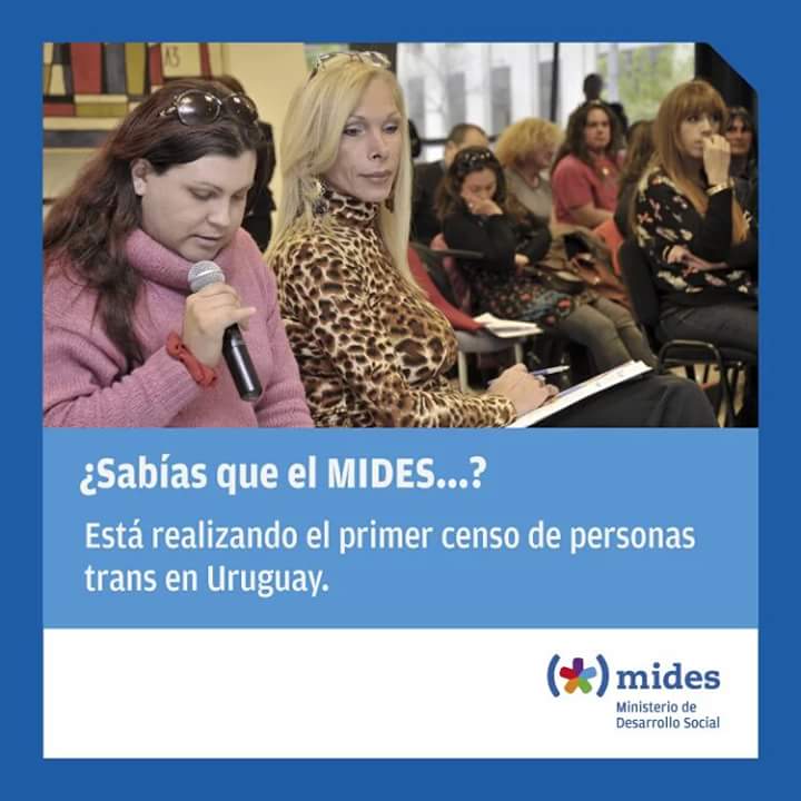 censo personas trans