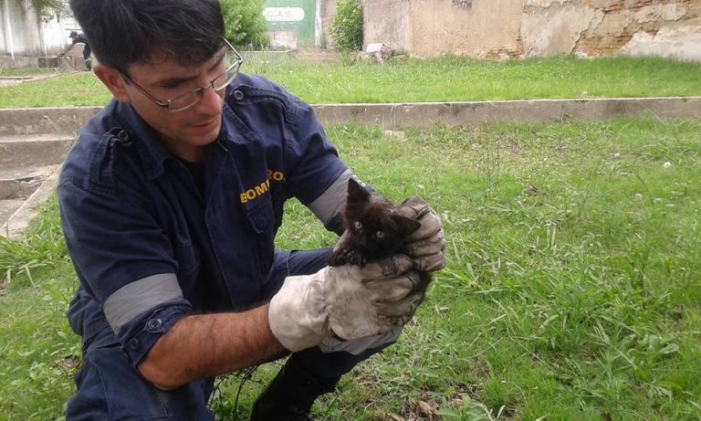 16114266_1795145154084416_6537626156251981019_n