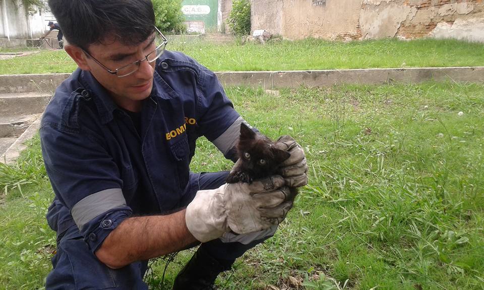 16114266_1795145154084416_6537626156251981019_n