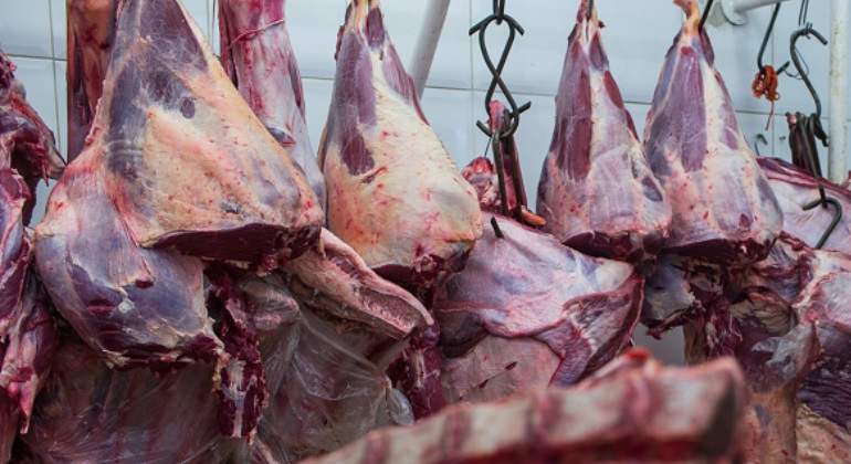 Carne de frigorífico