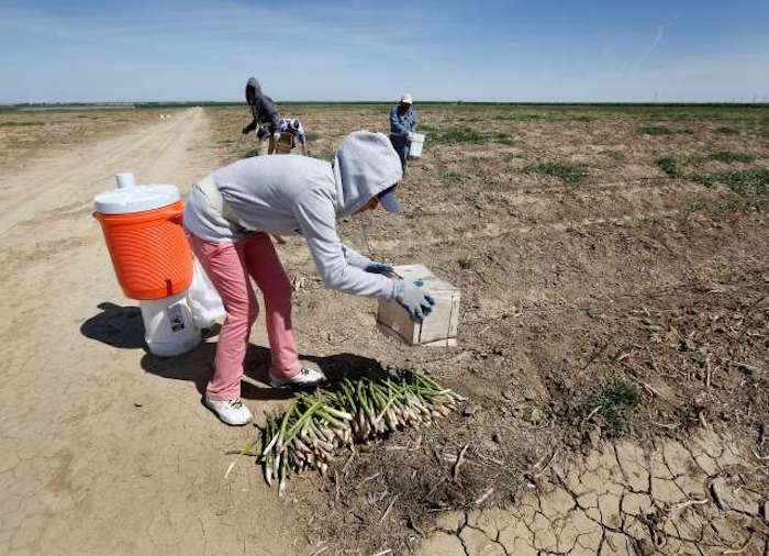 im_20140506_locales_305069953-1