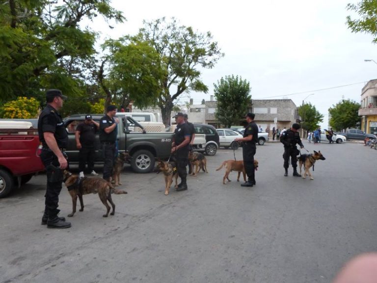 17904174_1287343624688885_5414529350690645975_n