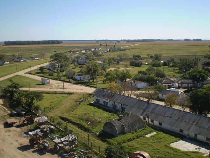 arrozal 33 -vergarahistoriaslocales