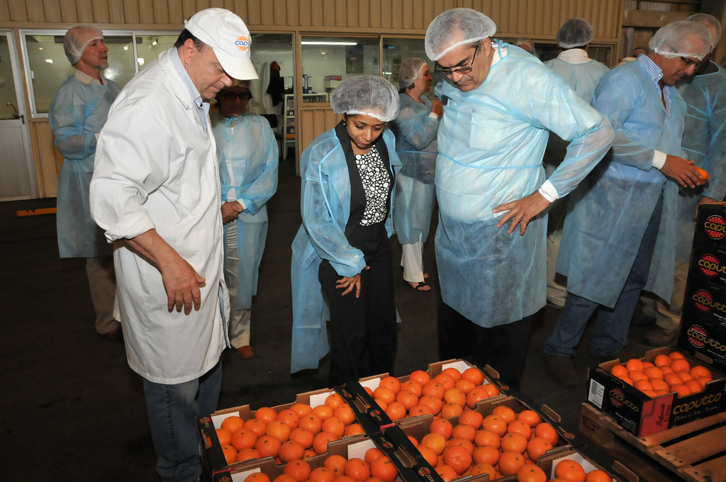 citricola salto -archivo