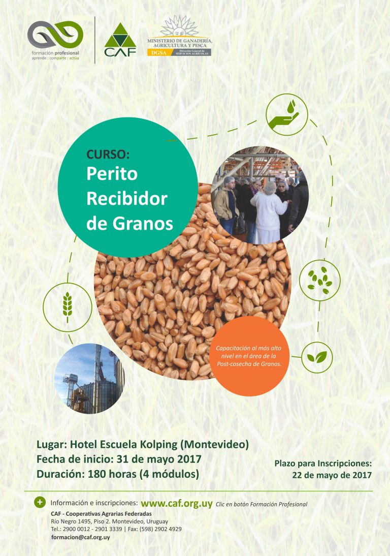 perito recibidor de granos