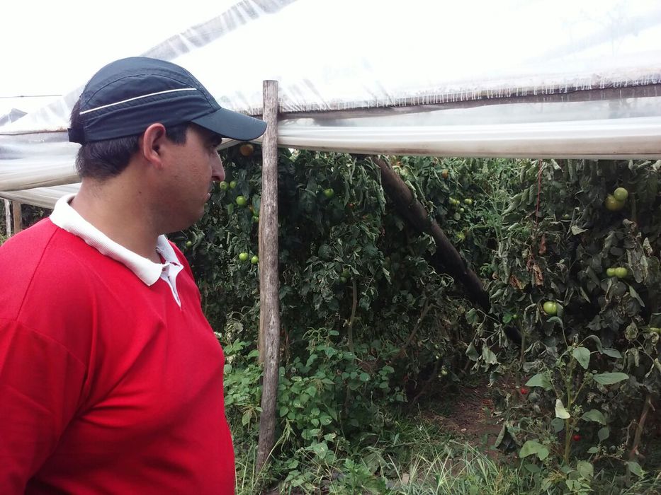 Paraje la armonia -montevideo