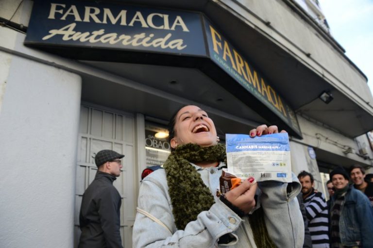 marihuana -observador