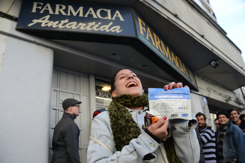 marihuana -observador