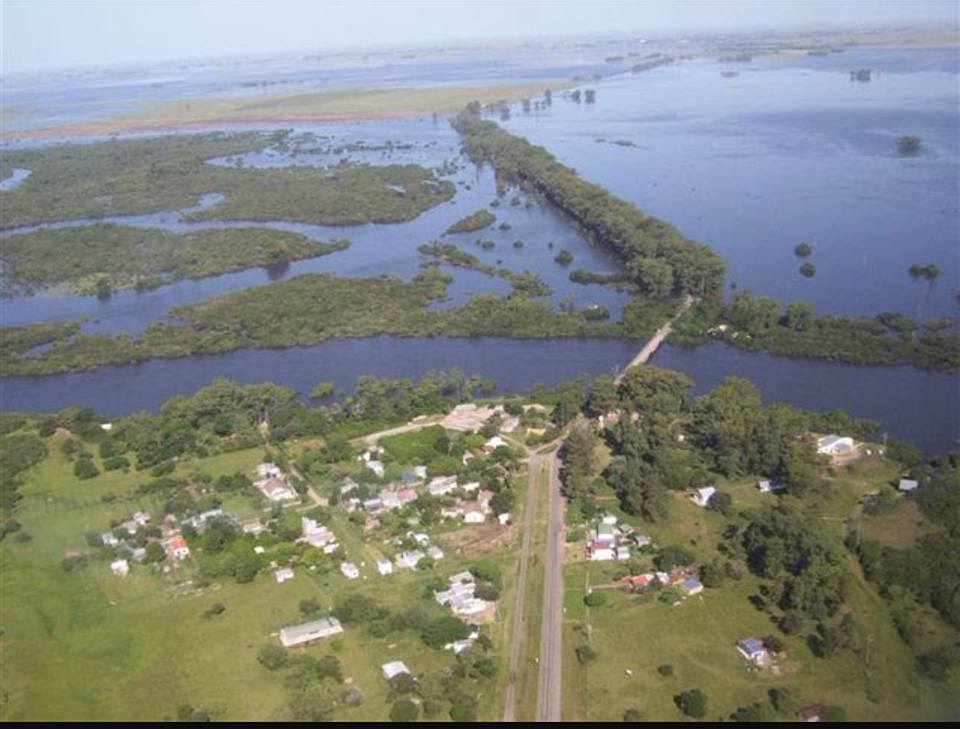 21740620_813395528823092_2914579323534613498_n