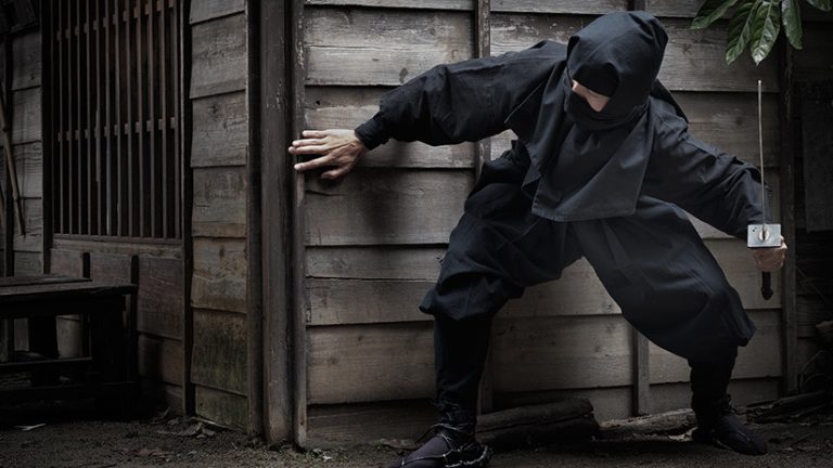 Ninja