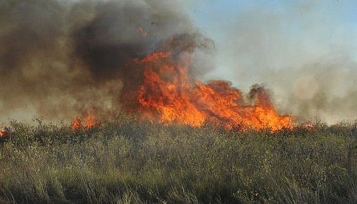 Incendio campo