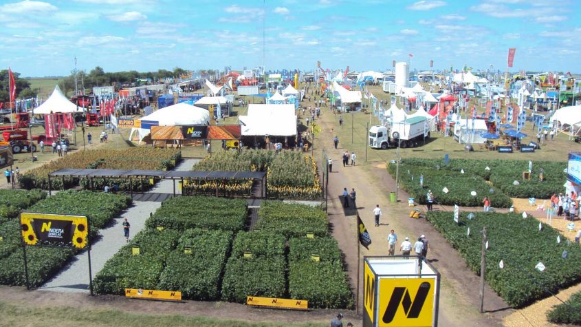 Expoactiva -observador