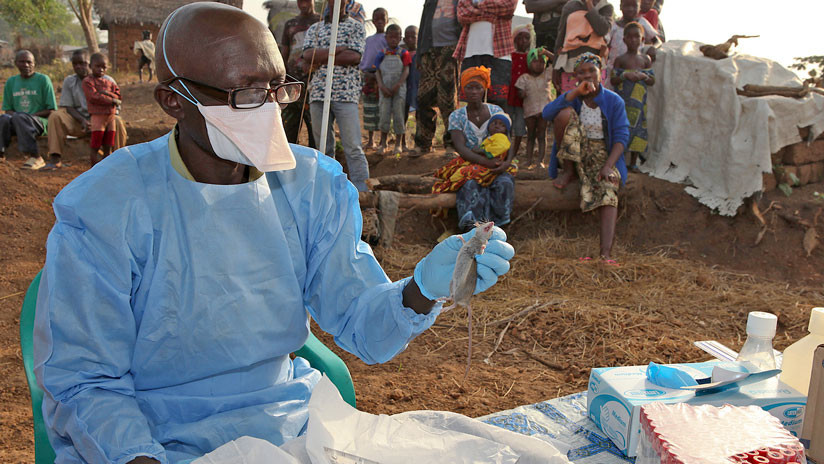 Médico Sierra Leona -rt