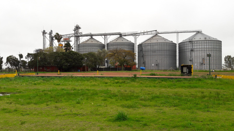 silos-de-cosechas