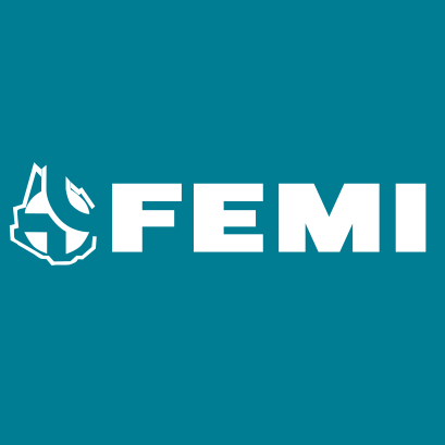 Femi logo