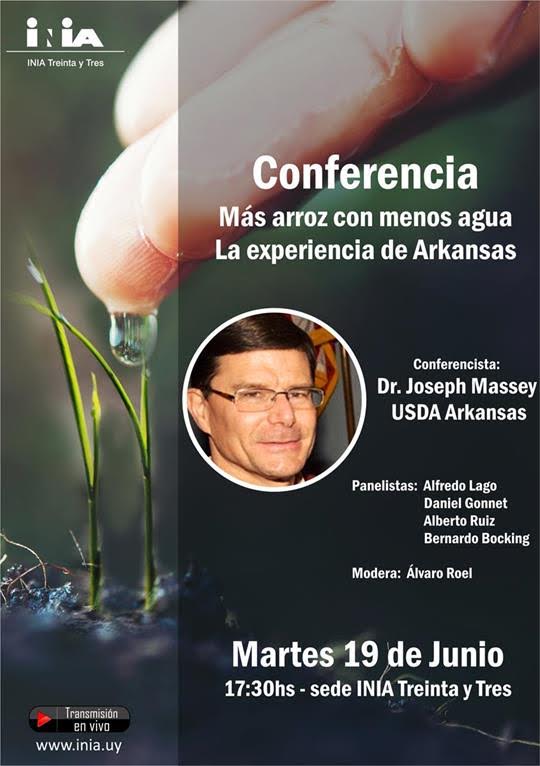 Más arroz con menos agua