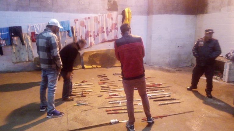 Desarme voluntario (2)