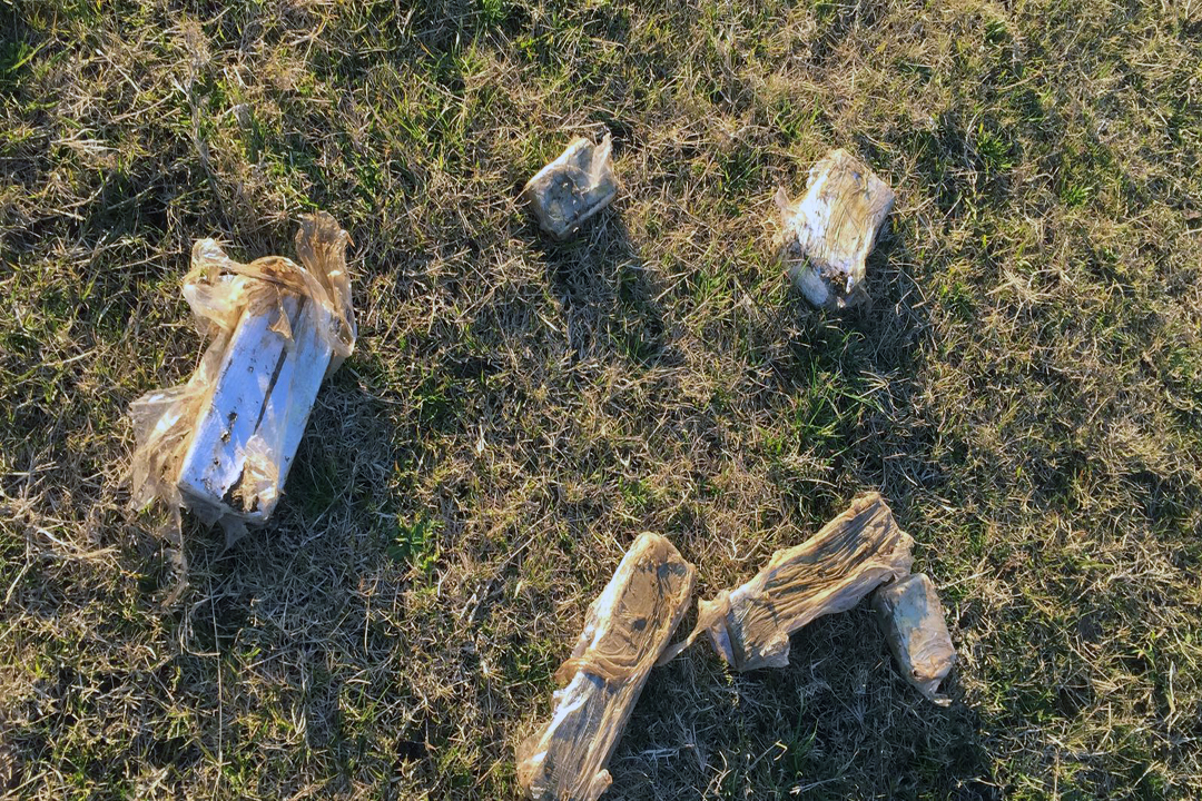 ladrillos_cerro_chato -minterior