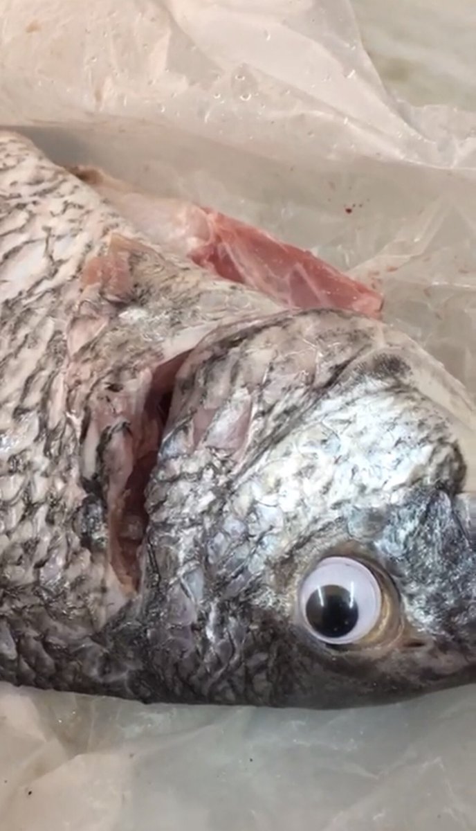 pescado en mal estado