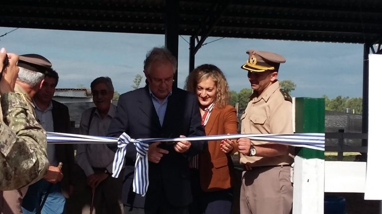 Techo equinoterapia (2)