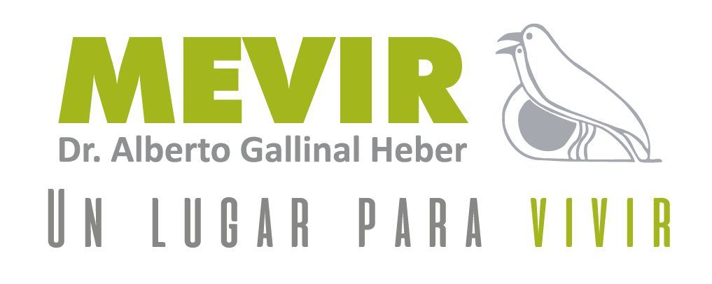 MEVIR logo