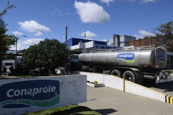 Conaprole