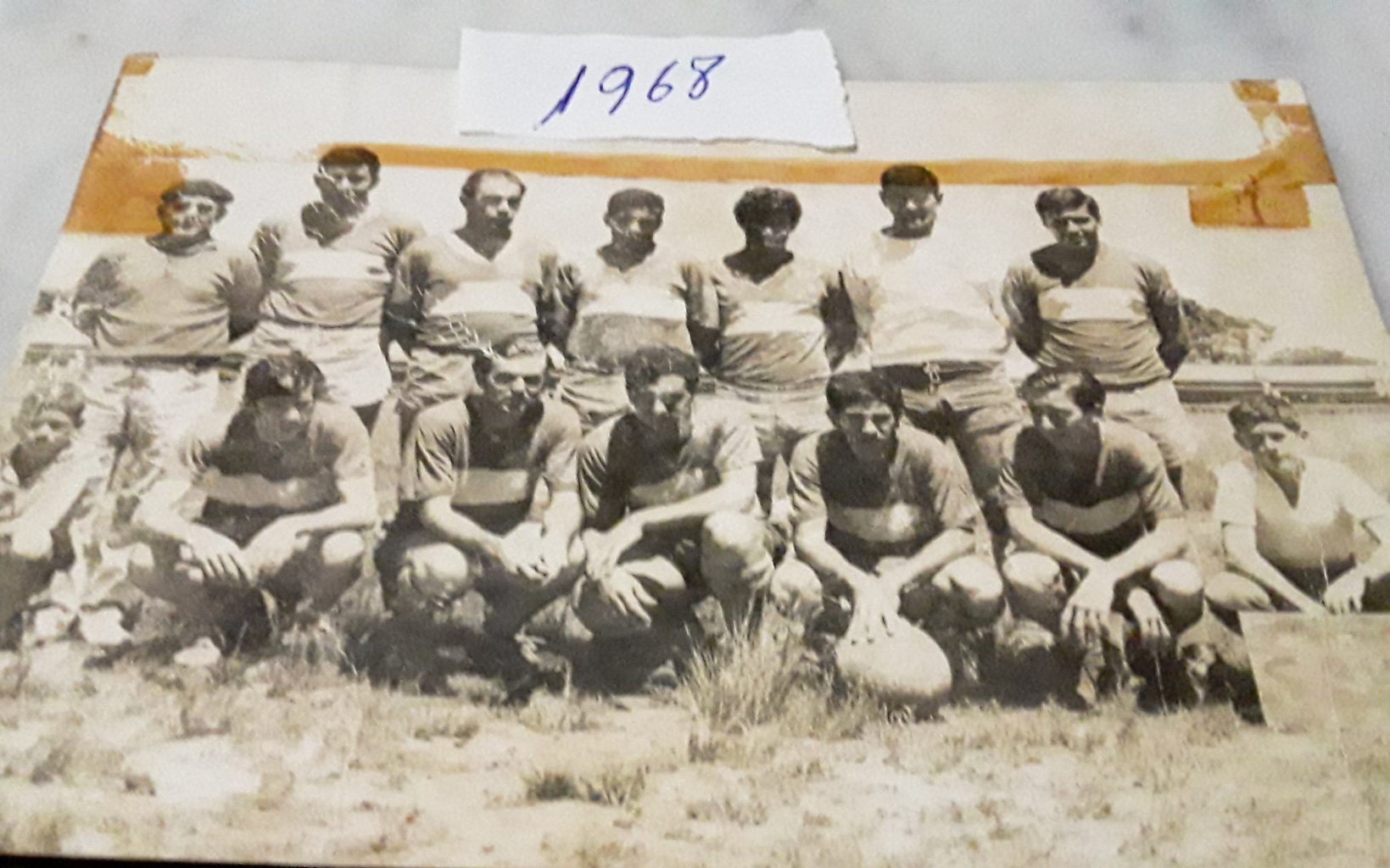 Vaca Azul Posando 1968