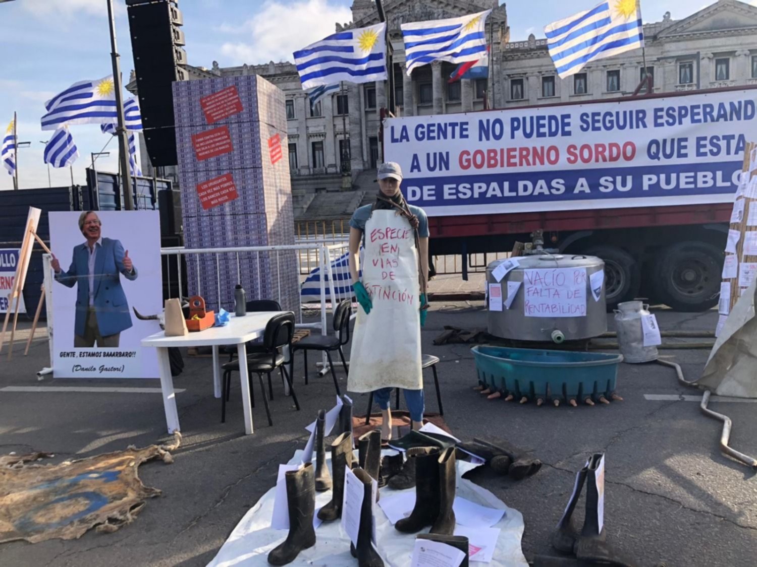 USU Palacio Legislativo -observador (3)