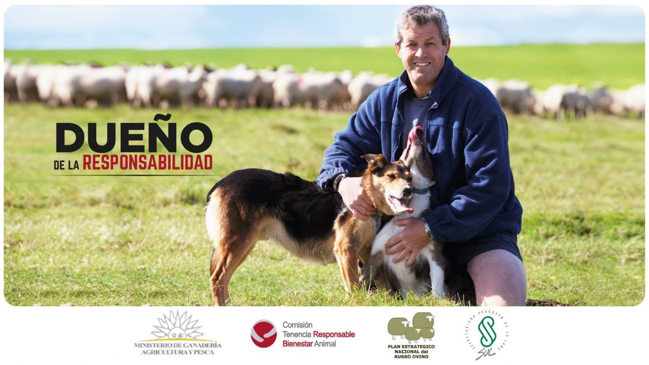 campaña responsable