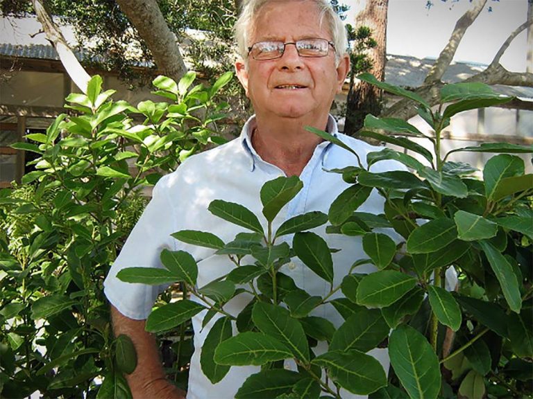 yerba-raul-nin-135_1200w