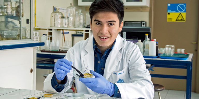 Jorge Miles - bacteria come neumaticos