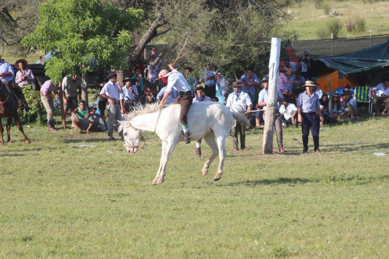 Festival Nacientes del Olimar -fb