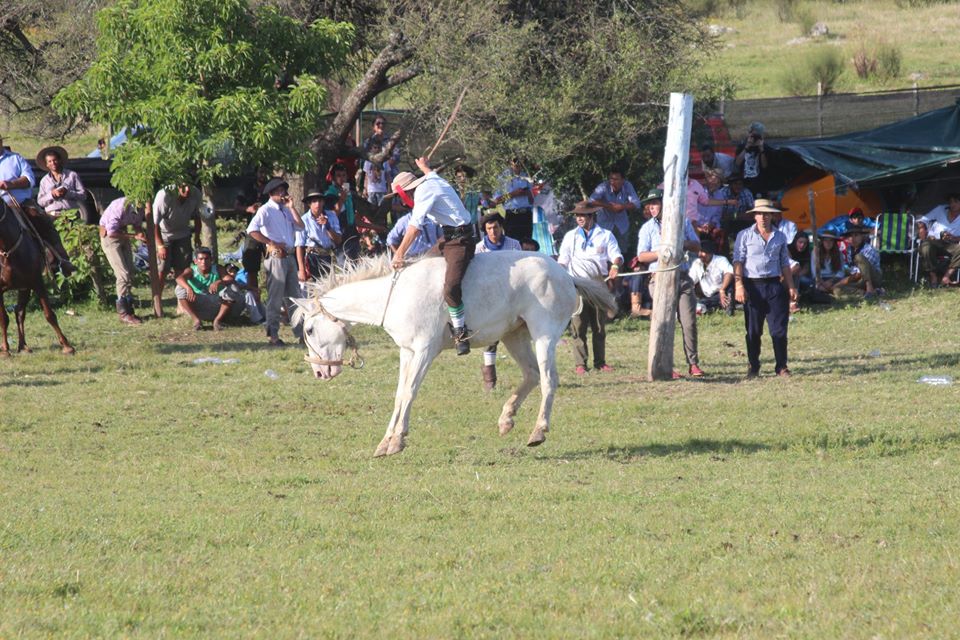 Festival Nacientes del Olimar -fb