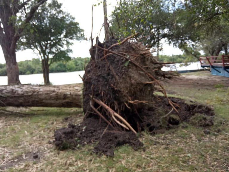 destrozos Charqueada