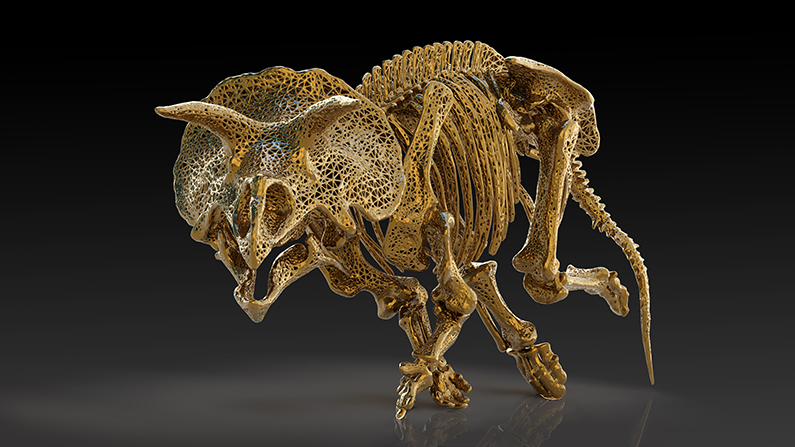 Amy Karle 2020 All rights reserved. www.amykarle.com