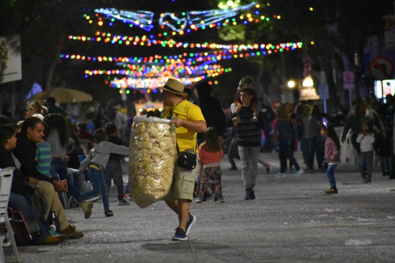 Vendedor ambulante -idtt
