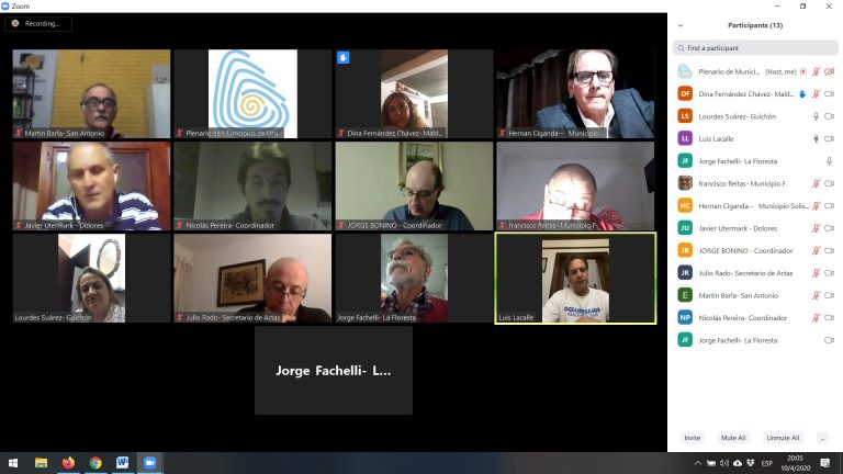 Plenario Municipios -reunión virtual