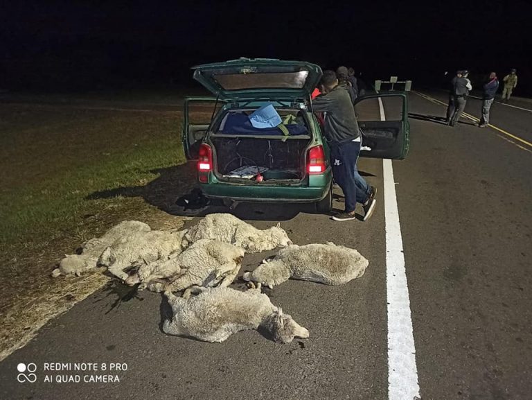 abigeato artigas (1)