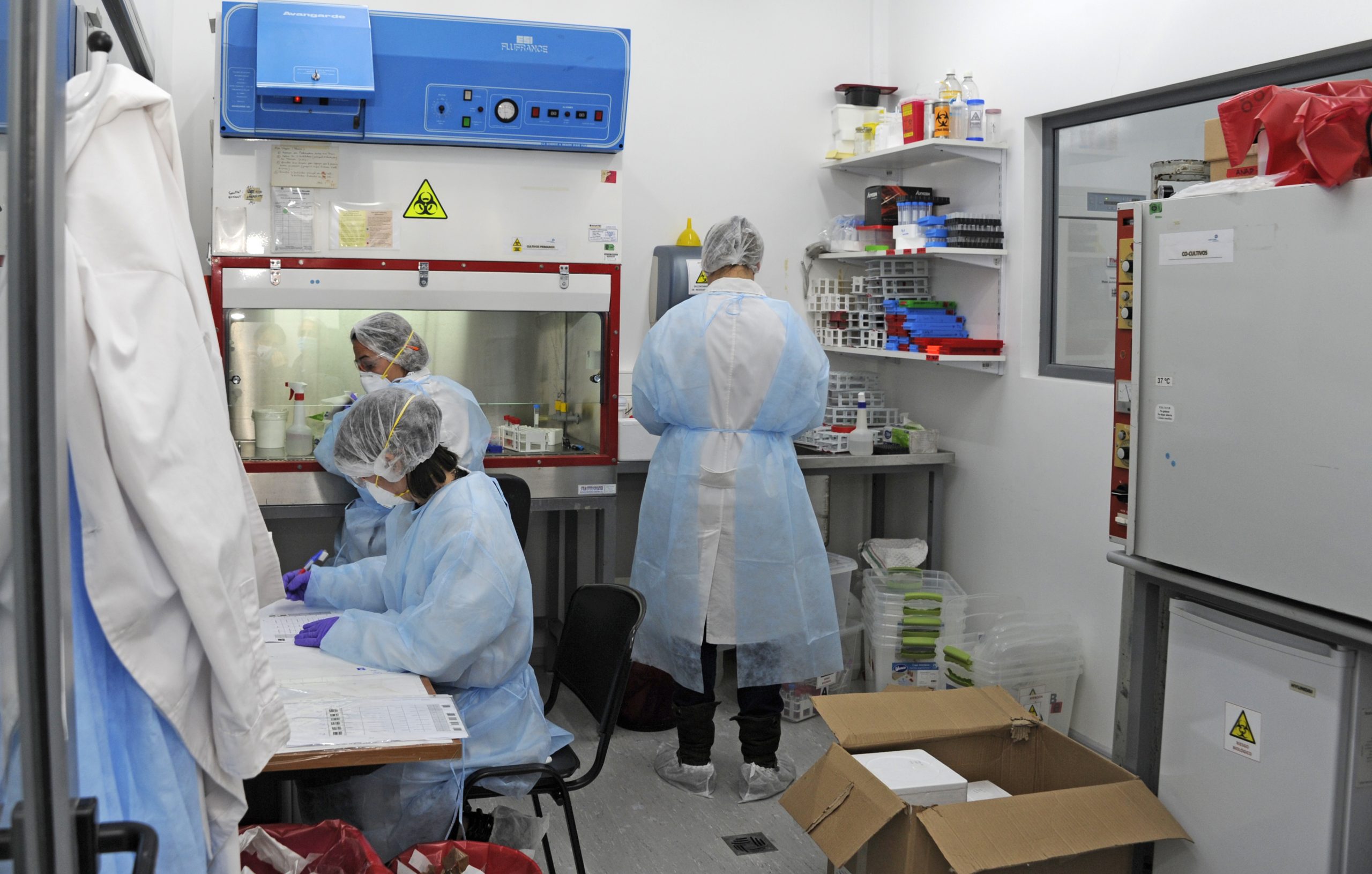 Pasteur -laboratorios