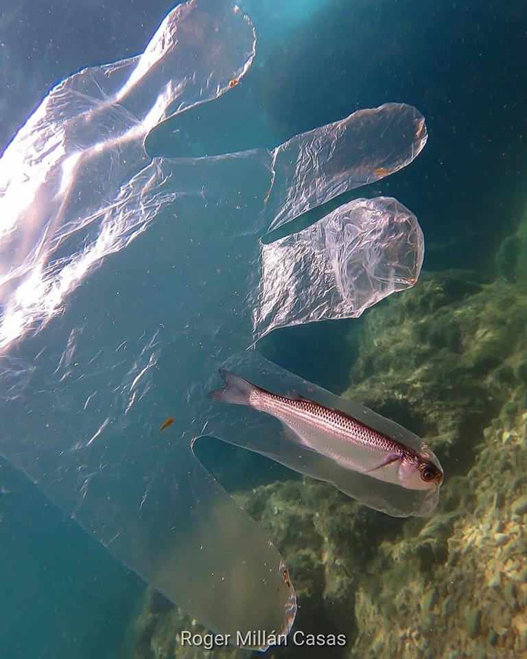 Contaminación en el agua