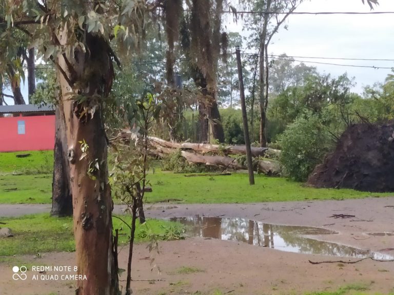 Destrozos por viento (2)