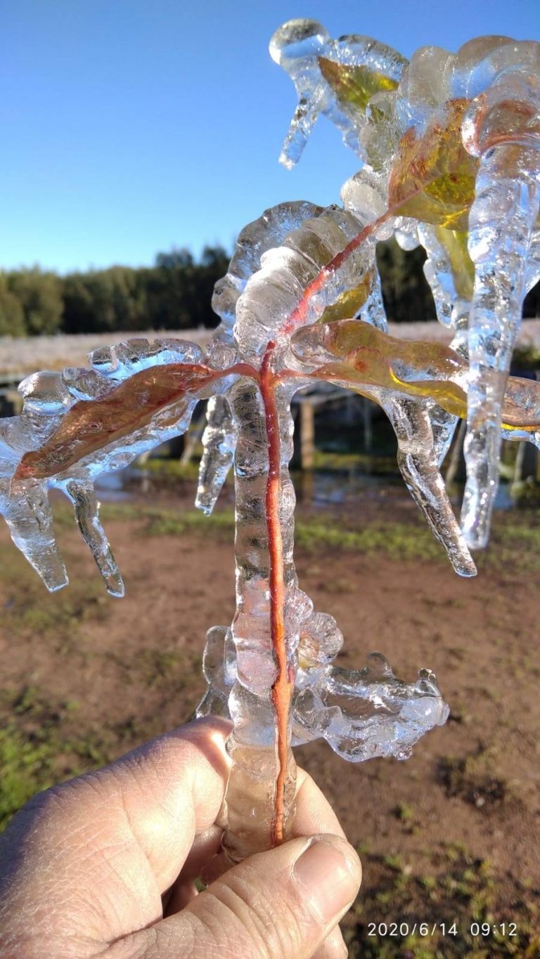 Heladas -meteorologiabcp (1)