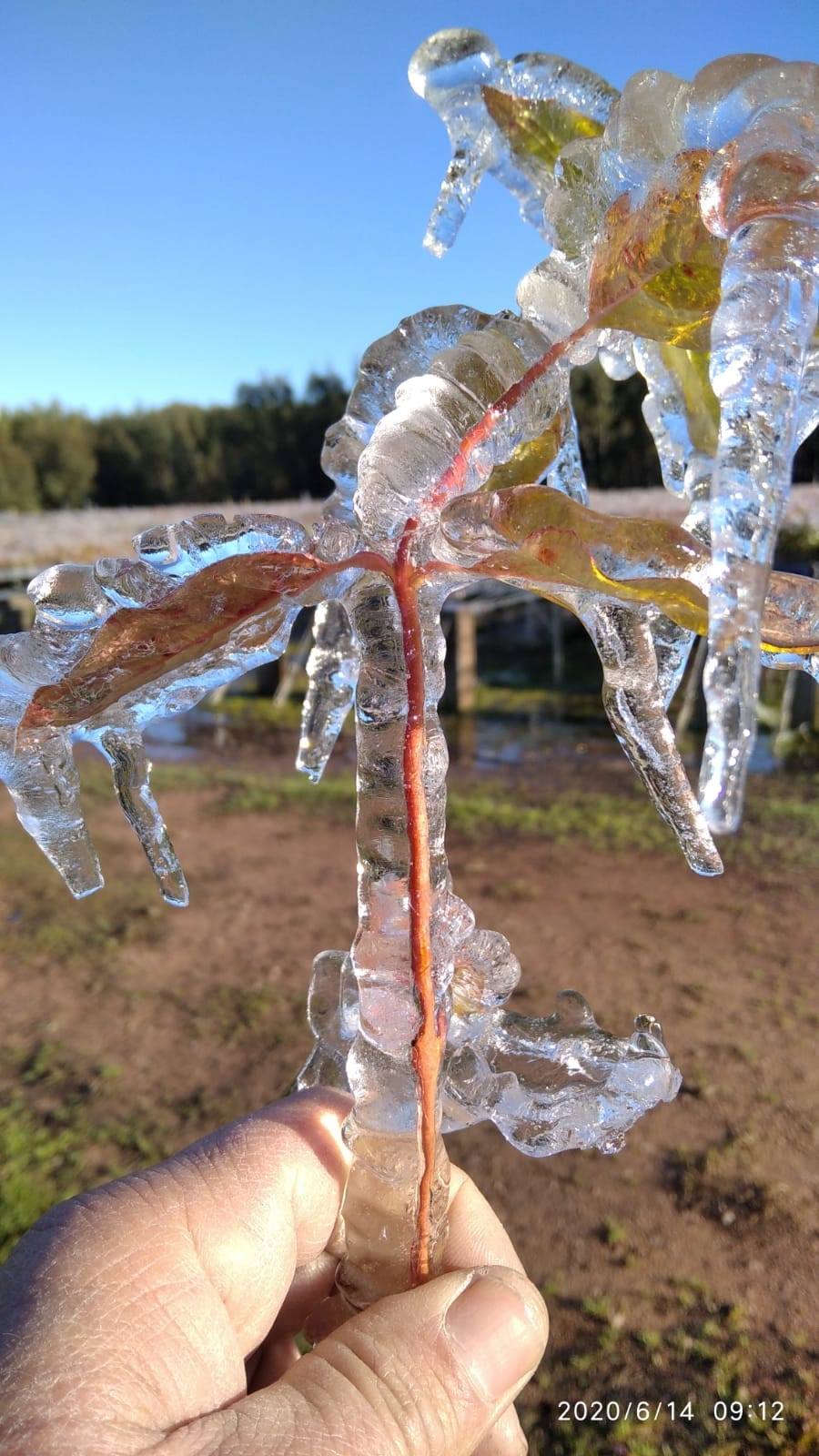 Heladas -meteorologiabcp (1)