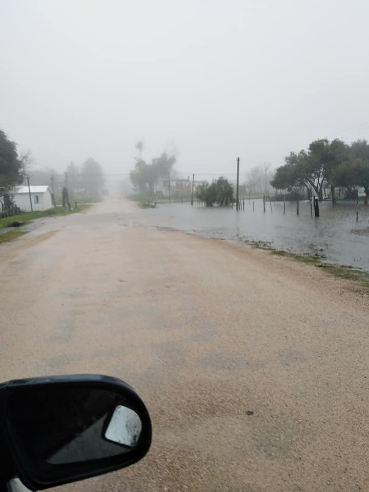 Zapicán -fmnicoperez