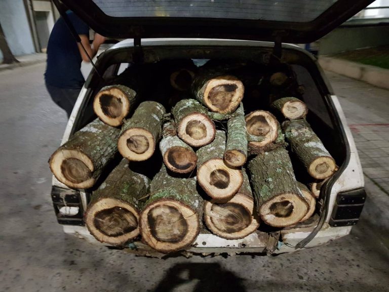 leña robada
