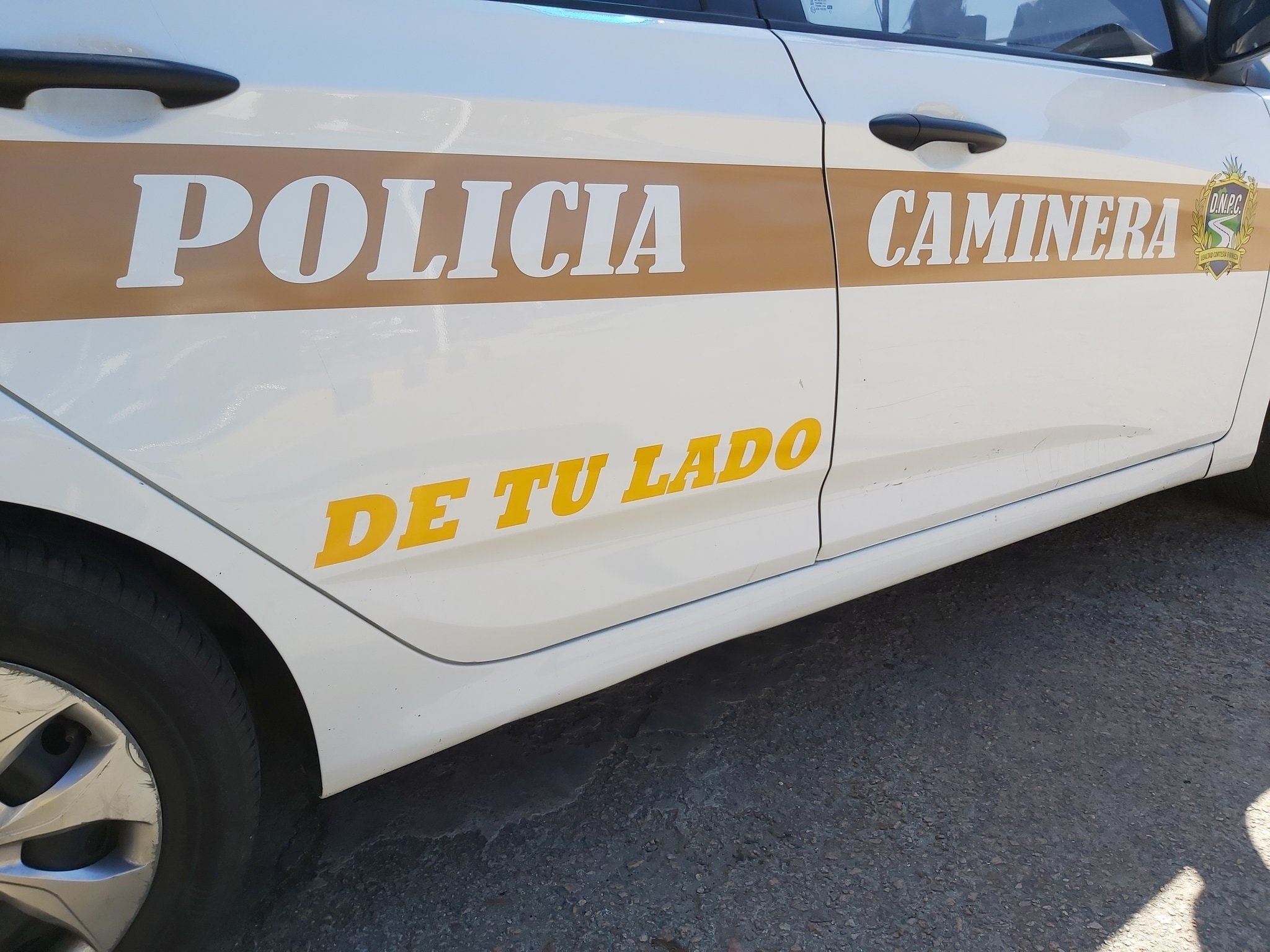 119456538_2245093552281778_5329123847218336771_o